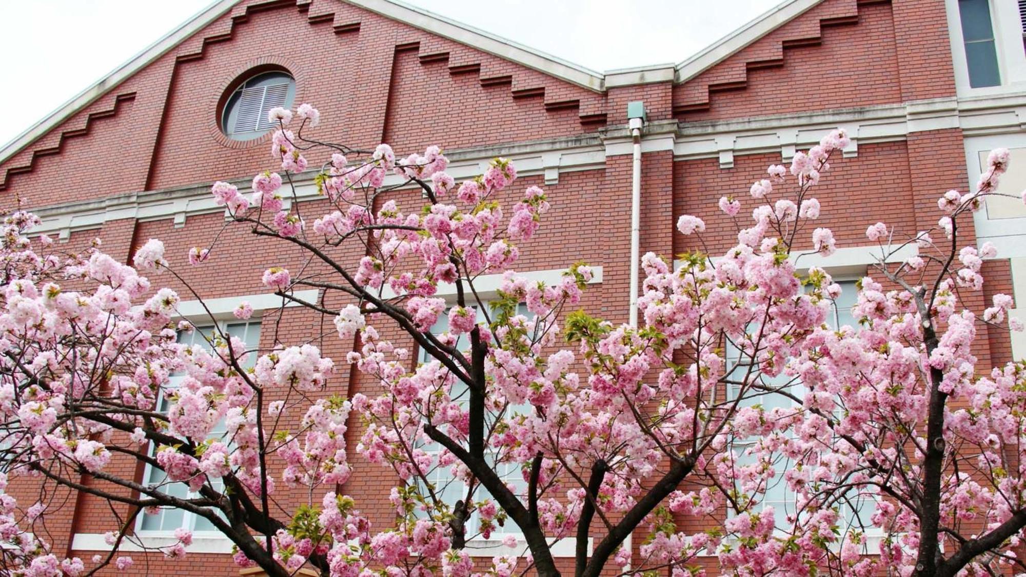 Toyoko Inn Osaka Kyobashi Sakuranomiya Buitenkant foto